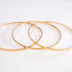 Two white plates with gold rims on a light gray background