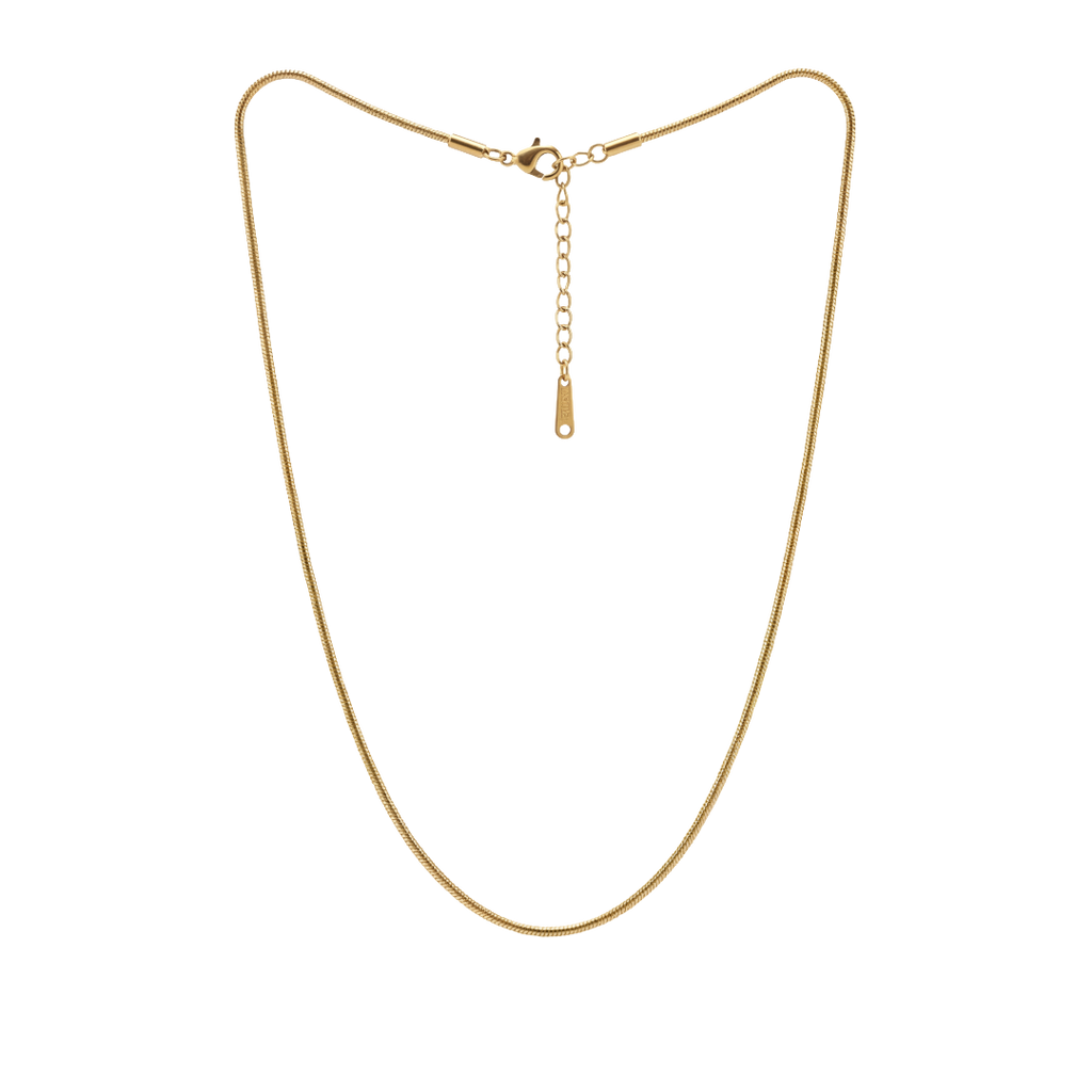 Gold necklace on a white background