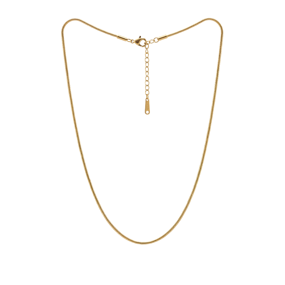 Gold necklace on a white background