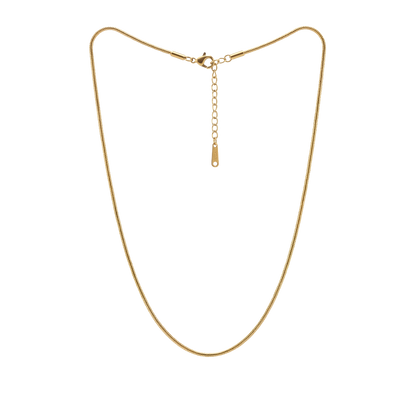 Gold necklace on a white background