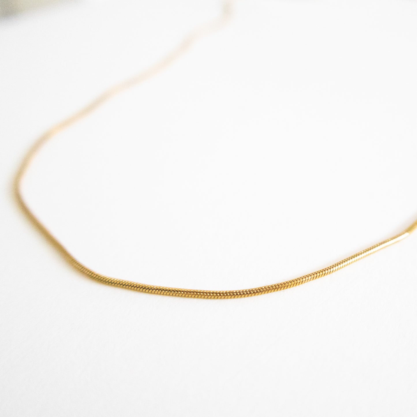 Snake Chain Necklace