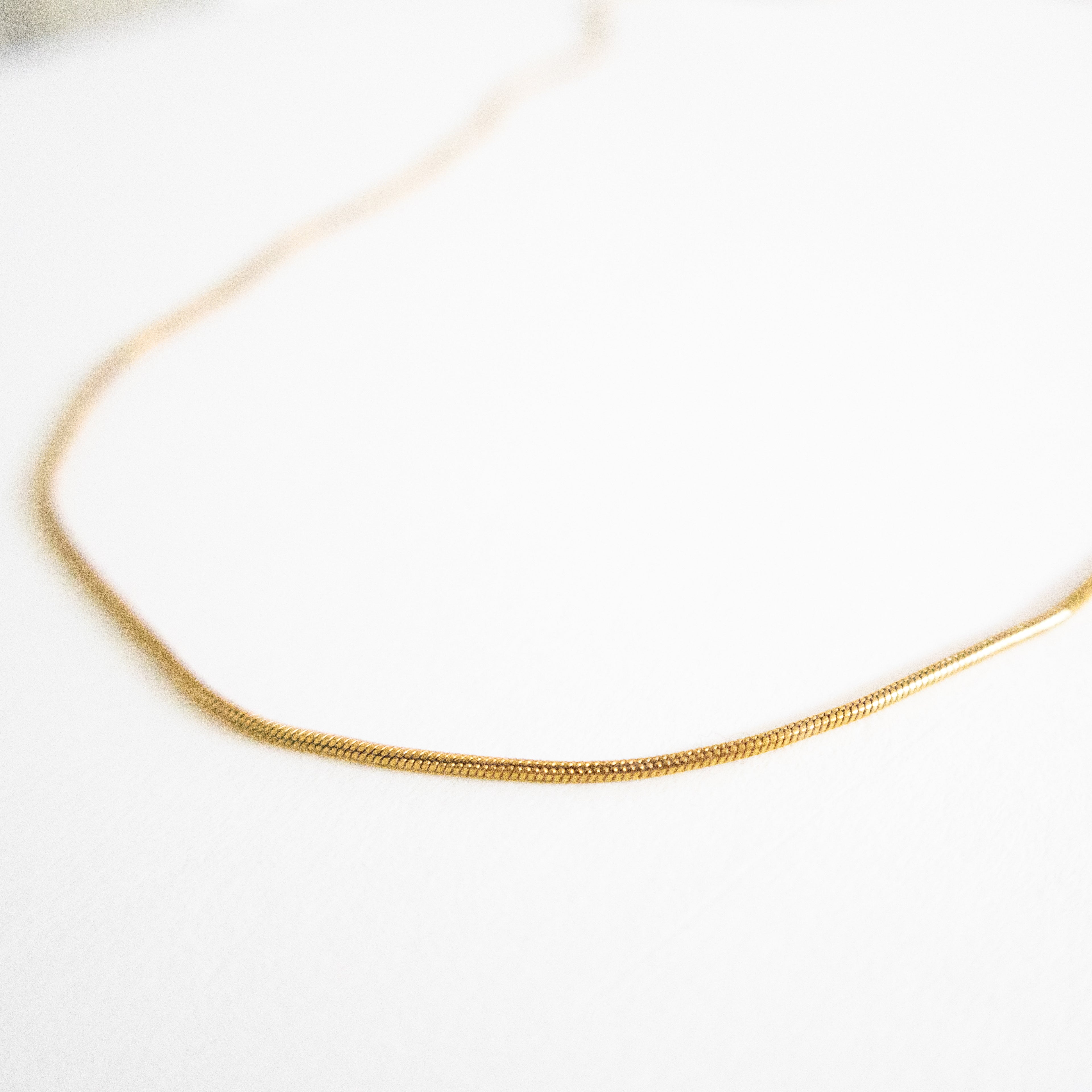 Solenne Snake Chain Necklace