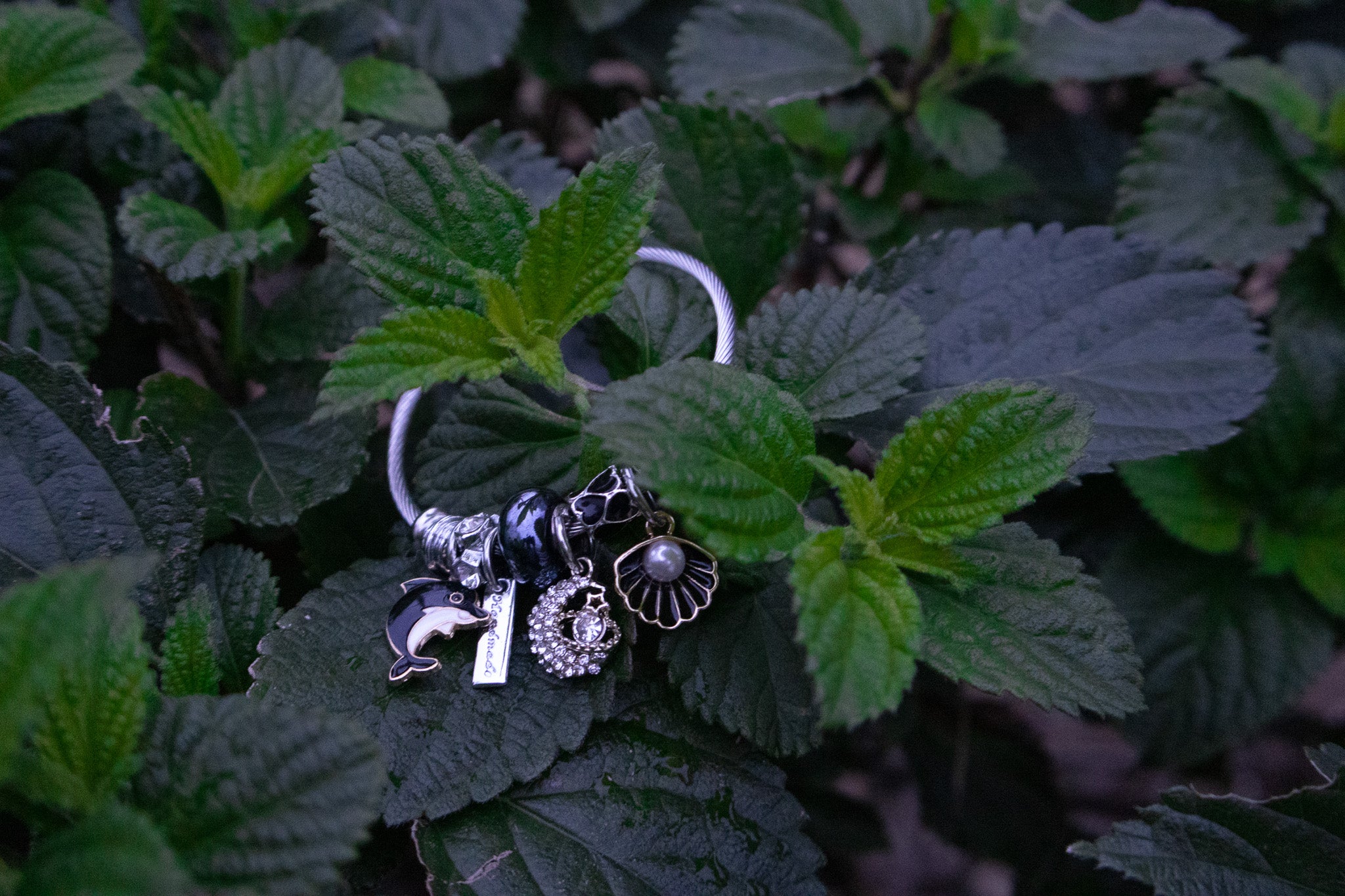 Stainless Steel Cable Bracelet Dolphin, Crystal & Mixed Charms